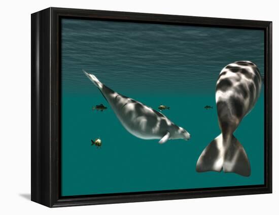 Steller's Sea Cow-Christian Darkin-Framed Premier Image Canvas
