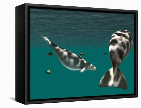 Steller's Sea Cow-Christian Darkin-Framed Premier Image Canvas