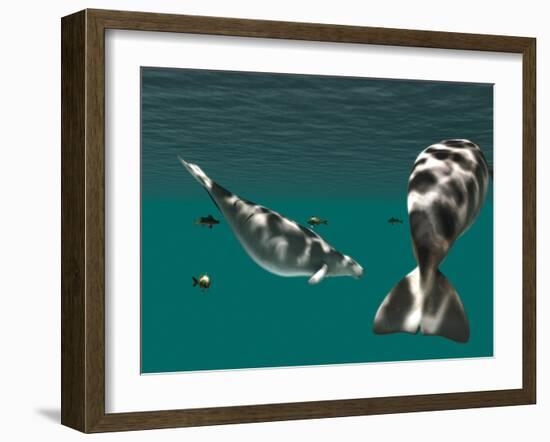 Steller's Sea Cow-Christian Darkin-Framed Photographic Print