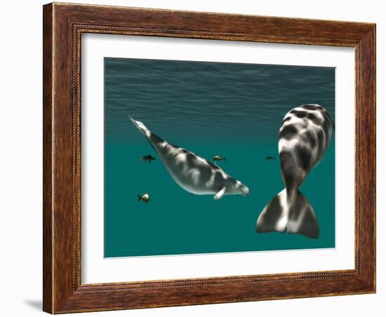 Steller's Sea Cow-Christian Darkin-Framed Photographic Print