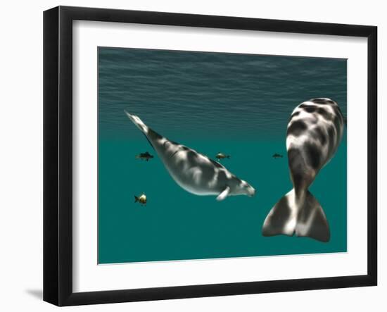 Steller's Sea Cow-Christian Darkin-Framed Photographic Print