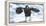 Steller's Sea-Eagle (Haliaeetus Pelagicus) Standing on Pack Ice, Hokkaido, Japan, February-Wim van den Heever-Framed Premier Image Canvas