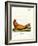 Steller Sea Lion-null-Framed Giclee Print