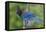 Stellers Jay-Ken Archer-Framed Premier Image Canvas