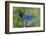 Stellers Jay-Ken Archer-Framed Photographic Print