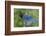 Stellers Jay-Ken Archer-Framed Photographic Print