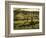 Stelling Vineyard on Oakville Grade Road, near Oakville, Napa Valley, California-Janis Miglavs-Framed Photographic Print