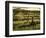 Stelling Vineyard on Oakville Grade Road, near Oakville, Napa Valley, California-Janis Miglavs-Framed Photographic Print