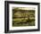 Stelling Vineyard on Oakville Grade Road, near Oakville, Napa Valley, California-Janis Miglavs-Framed Photographic Print