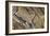 Stelvio Pass, Ortler Alps, South Tyrol / Sondrio, Italy: Highest Paved Mountain Pass Eastern Alps-Axel Brunst-Framed Photographic Print