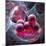 Stem Cell Research, Conceptual Artwork-Laguna Design-Mounted Premium Photographic Print