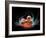 Stem Cell Research, Conceptual Artwork-Laguna Design-Framed Photographic Print