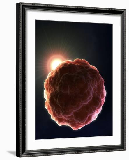 Stem Cell Research, Conceptual Artwork-David Mack-Framed Photographic Print