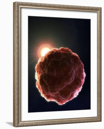 Stem Cell Research, Conceptual Artwork-David Mack-Framed Photographic Print