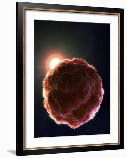 Stem Cell Research, Conceptual Artwork-David Mack-Framed Photographic Print