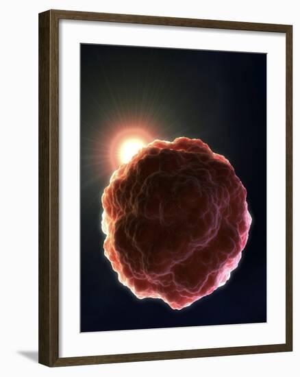 Stem Cell Research, Conceptual Artwork-David Mack-Framed Photographic Print