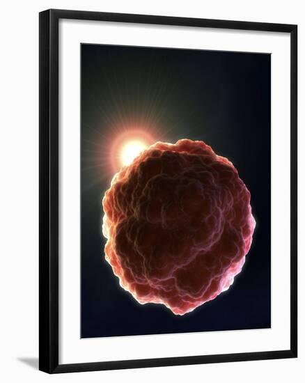 Stem Cell Research, Conceptual Artwork-David Mack-Framed Photographic Print