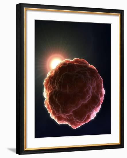 Stem Cell Research, Conceptual Artwork-David Mack-Framed Photographic Print