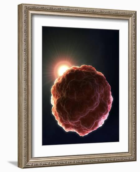 Stem Cell Research, Conceptual Artwork-David Mack-Framed Photographic Print