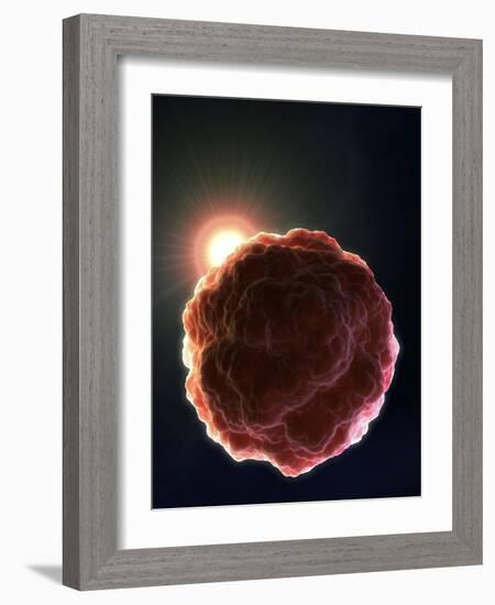 Stem Cell Research, Conceptual Artwork-David Mack-Framed Photographic Print