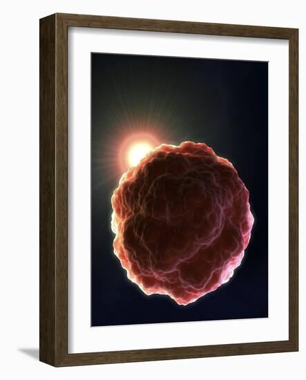 Stem Cell Research, Conceptual Artwork-David Mack-Framed Photographic Print