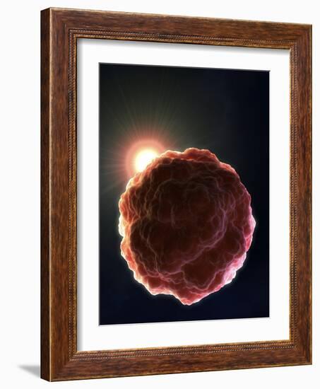 Stem Cell Research, Conceptual Artwork-David Mack-Framed Photographic Print