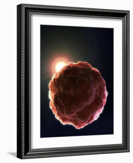 Stem Cell Research, Conceptual Artwork-David Mack-Framed Photographic Print