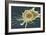 Stem Cell, SEM-Science Photo Library-Framed Photographic Print