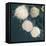 Stem Cells, SEM-Science Photo Library-Framed Premier Image Canvas