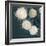 Stem Cells, SEM-Science Photo Library-Framed Premium Photographic Print