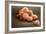 Stem Cells, SEM-Science Photo Library-Framed Photographic Print