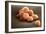 Stem Cells, SEM-Science Photo Library-Framed Photographic Print