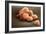 Stem Cells, SEM-Science Photo Library-Framed Photographic Print