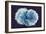 Stem Cells, SEM-Science Photo Library-Framed Photographic Print