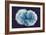 Stem Cells, SEM-Science Photo Library-Framed Photographic Print