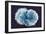 Stem Cells, SEM-Science Photo Library-Framed Photographic Print