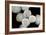 Stem Cells, SEM-Science Photo Library-Framed Photographic Print