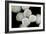 Stem Cells, SEM-Science Photo Library-Framed Photographic Print