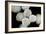 Stem Cells, SEM-Science Photo Library-Framed Photographic Print