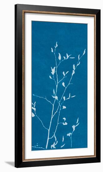 Stem-Sarah Cheyne-Framed Giclee Print