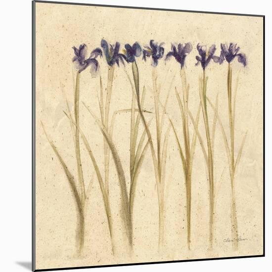 Stems of Iris-Cheri Blum-Mounted Art Print