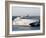 Stena Line 'Sea Lynx' Trimaran, Dieppe Harbour, France-Ian Griffiths-Framed Photographic Print