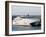 Stena Line 'Sea Lynx' Trimaran, Dieppe Harbour, France-Ian Griffiths-Framed Photographic Print