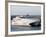 Stena Line 'Sea Lynx' Trimaran, Dieppe Harbour, France-Ian Griffiths-Framed Photographic Print