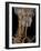 Stenosis of Carotid Artery, CT Scan-ZEPHYR-Framed Photographic Print