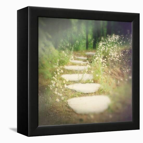 Step by Step-Amy Melious-Framed Stretched Canvas