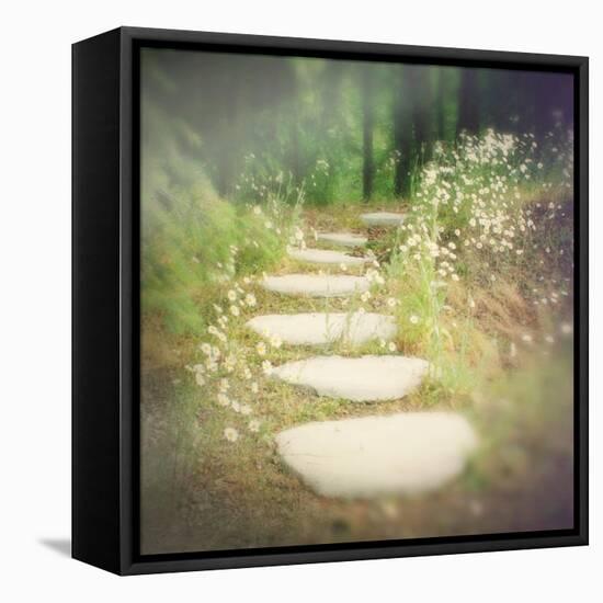 Step by Step-Amy Melious-Framed Stretched Canvas