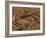 Step Pyramid of Djoser, Saqqara, Old Kingdom, Egypt-Kenneth Garrett-Framed Photographic Print