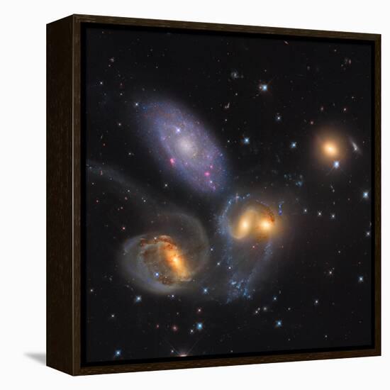Stephan's Quintet, a Grouping of Galaxies in the Constellation Pegasus-null-Framed Premier Image Canvas