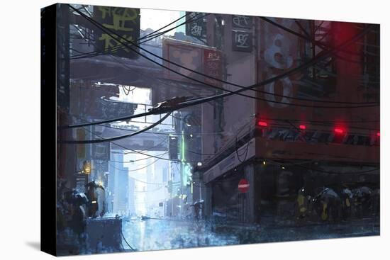 Stretched Canvas Print, , large